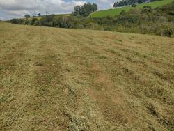 Terreno Rural para Venda em Silvianópolis - 5