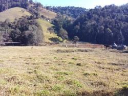 Terreno para Venda em Pouso Alegre - 2
