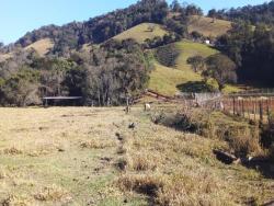 Terreno para Venda em Pouso Alegre - 4