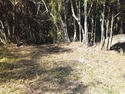 Terreno para Venda em Pouso Alegre - 5