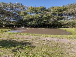 #1627 - Chácara para Venda em Congonhal - MG - 3