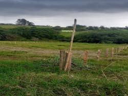 #1729 - Terreno Rural para Venda em Pouso Alegre - MG - 2